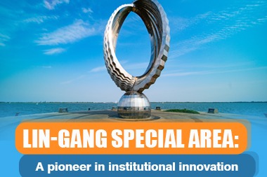 Lin-gang Special Area: A pioneer in institutional innovation
