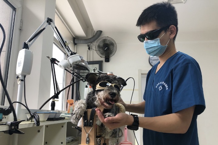 TCM veterinarians help give pets new lease on life