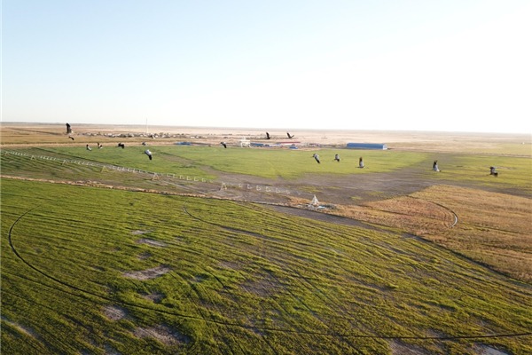 Pilot national grassland natural park launched in Jilin