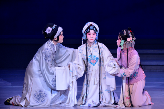 Xi calls for inheriting, developing traditional opera