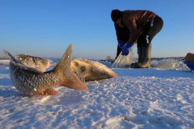 Ice-fishing with joy of harvest in Heilongjiang province