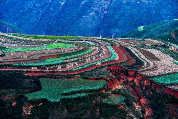 Terraced fields blanket Yunnan in color