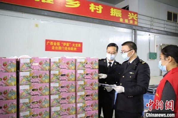 Guangxi dragon fruit enters market in Netherlands for first time