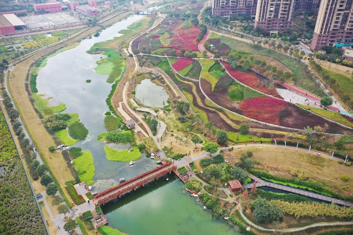 Uncared river turns into charming wetland park in Nanning