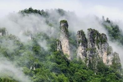 Shennongjia National Nature Reserve