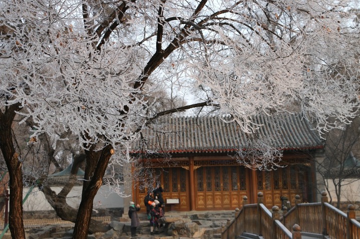 Rime adorns winter imperial garden in Hebei