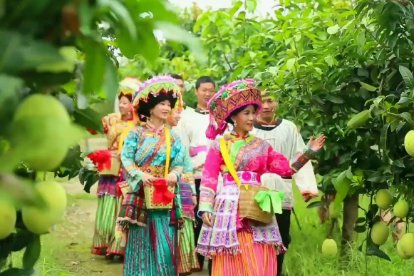 Mango farming in Yunnan offers example on how to shift to green economy