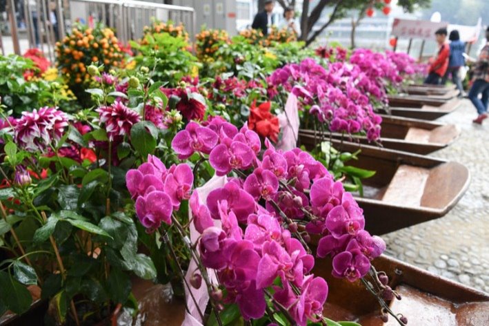 New methods blossom for flower sales in Guangzhou