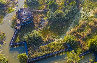 Sihong Hongze Lake Wetland Scenic Area, Jiangsu province