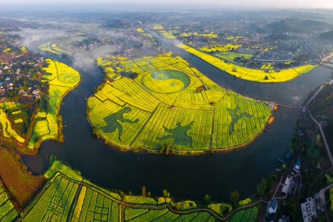 Rapeseed Flower Festival to kick off in Chongqing