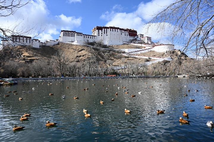 Potala Palace changes hours to protect architecture