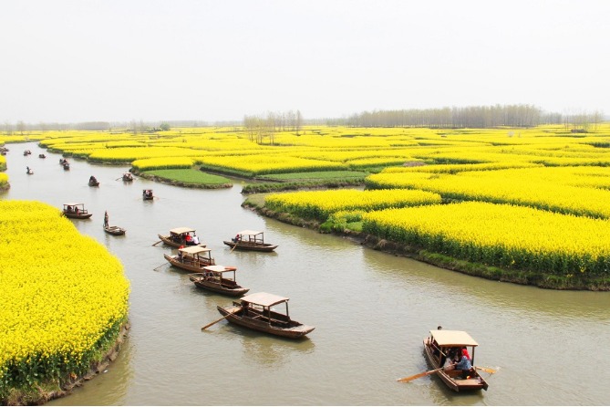 Flowers make a golden tourism festival in Jiangsu