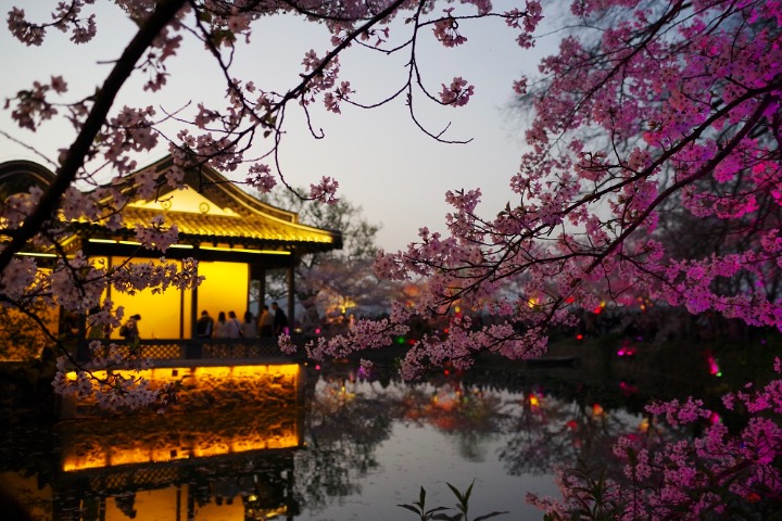 Qingming festival an ideal time to appreciate flowers