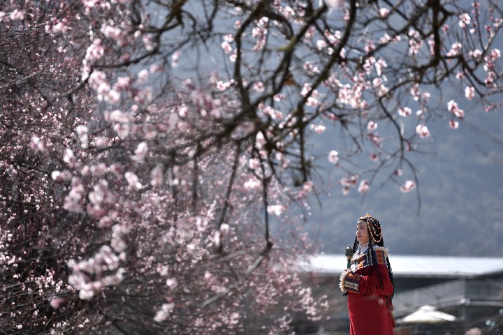 Peach blossoms usher in spring for Tibetan tourism