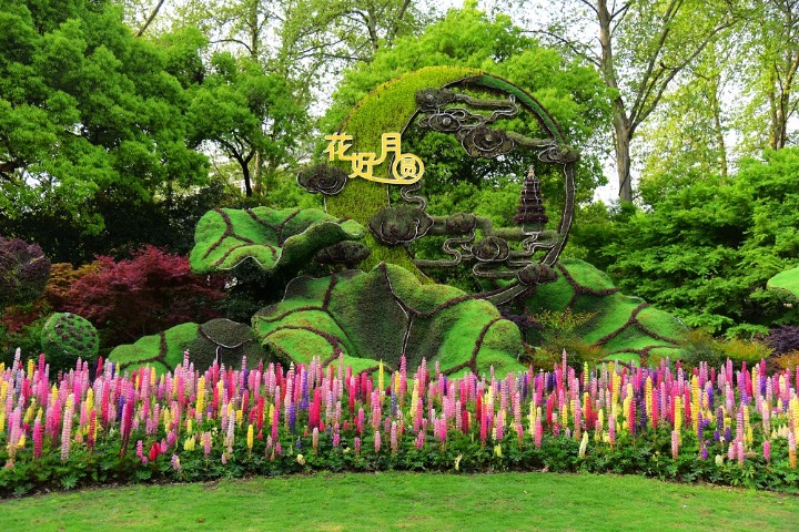 Floral path becomes cyber-celebrated spot in Hangzhou