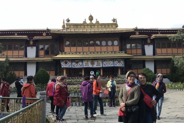 Tibet's heritage site Norbulingka undergoes new restoration
