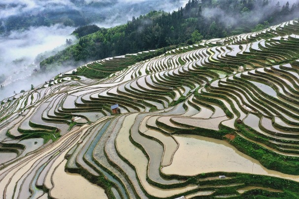 Enchanting views of terraced fields in Guizhou