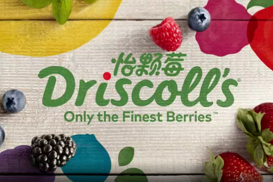 Berry firm Driscoll's eyes rich pickings