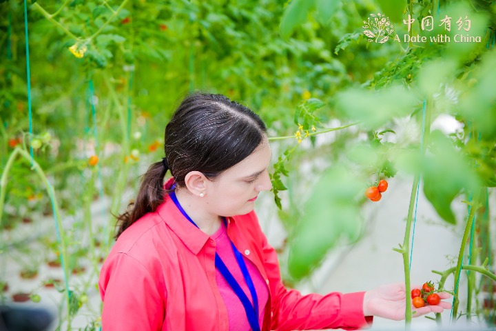 'A Date with China' discovers smart and green way of farming