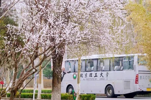 Spring comes in its glory to Beijing Institute of Technology