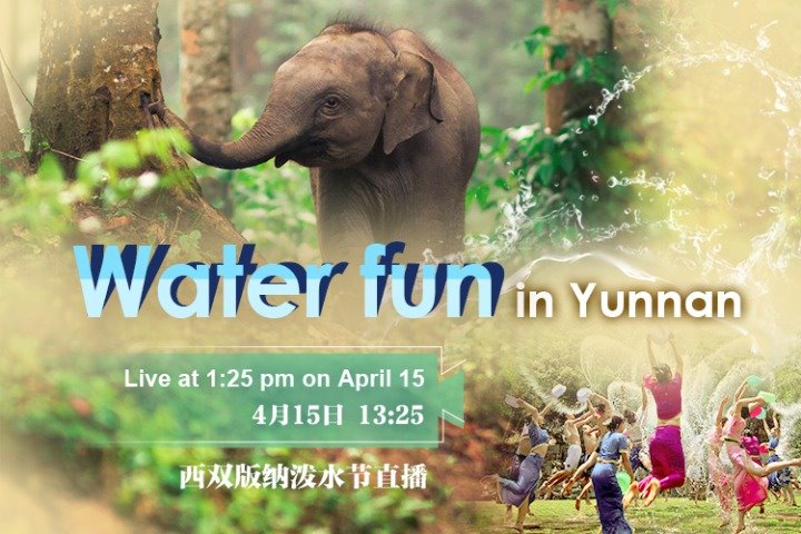 Watch it again: Water fun in Southwest China's Yunnan