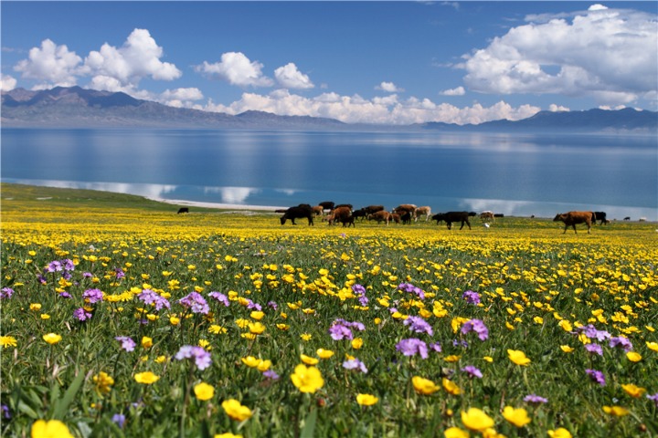 Sayram Lake Scenic Area, Xinjiang Uygur autonomous region