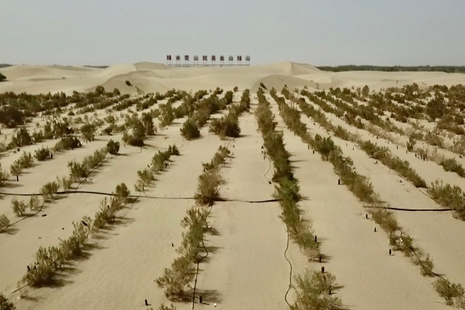 Turning Makit in Kashgar green with trees