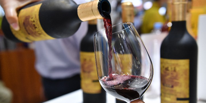 Ningxia wine pilot zone to boost regional development