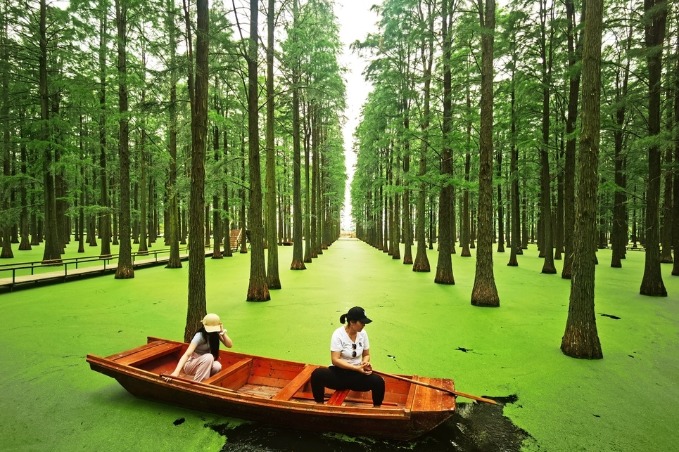 Ecological tourism revitalizes Jiangsu's wetland park