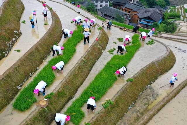 Traditional festival wishes for good harvest in Guangxi