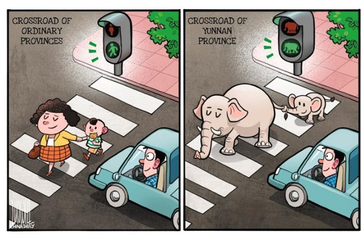 From pedestrian to elephant crossing