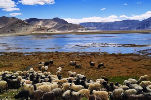 Tibet sets ambitious tourism agenda for 2021-25