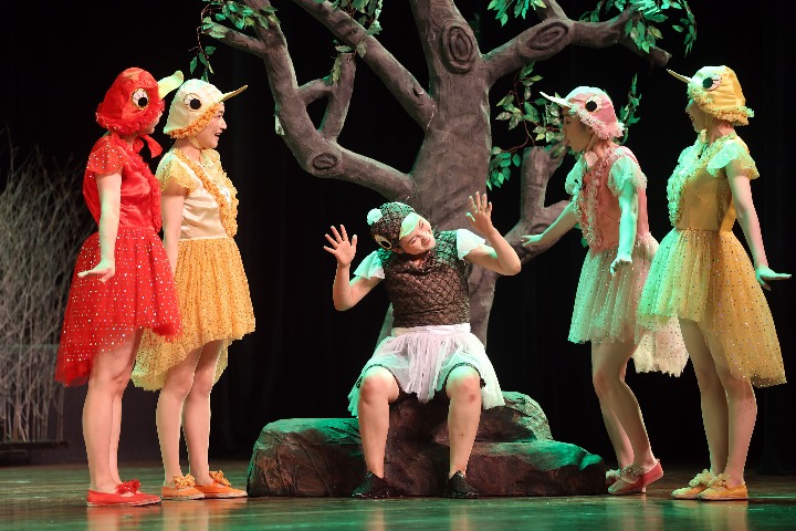 'The Ugly Duckling' shines in Nantong