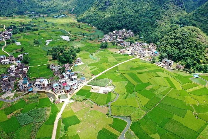 Farmlands make up enchanting rural views in Guangxi