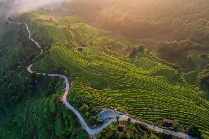Intriguing terraced fields part of rural Guizhou