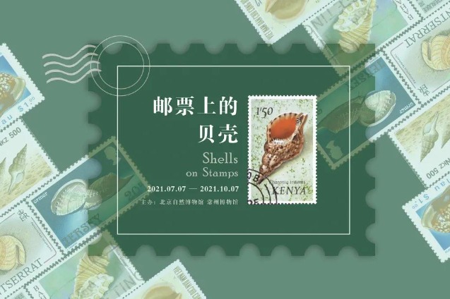 Museum exhibits shells on stamps