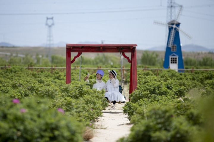 Rural tourism brings rosy life for Ningxia farmers