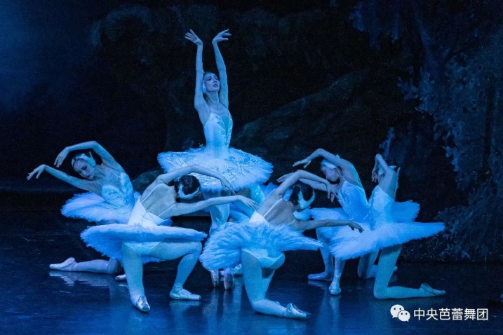 'Swans' dance at the Shunyi Grand Theater in Beijing