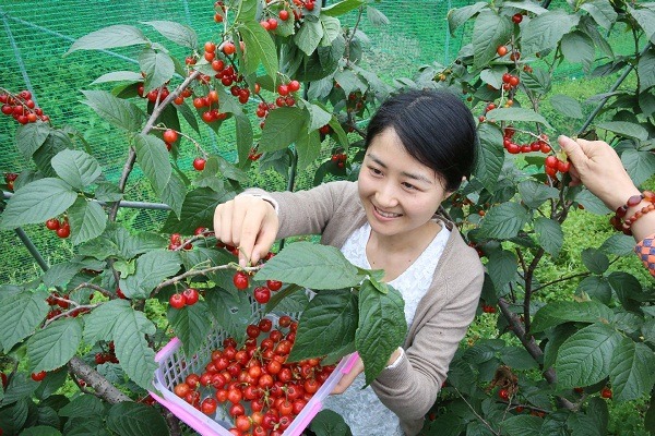 Jiangyin, Yixing among top counties for economic development