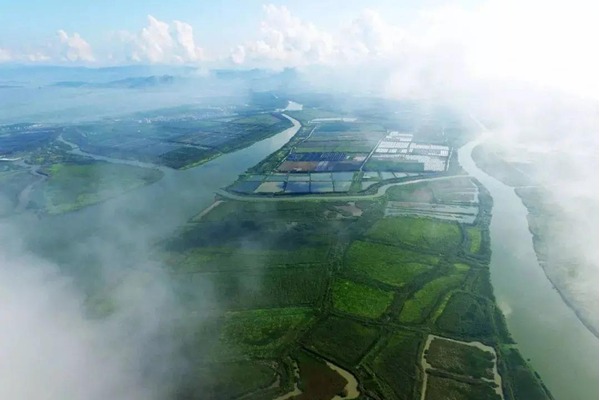 Wetland wins provincial honor in E China's Zhejiang province