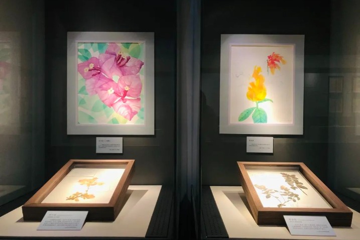 Exhibition popularizes knowledge of plants through botanical illustrations