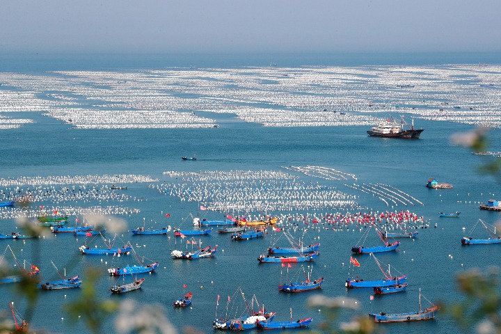 China's Zhejiang to build sea island parks