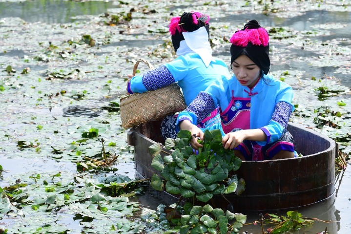 Fruitful harvest scenes at ecopark in Jiangsu