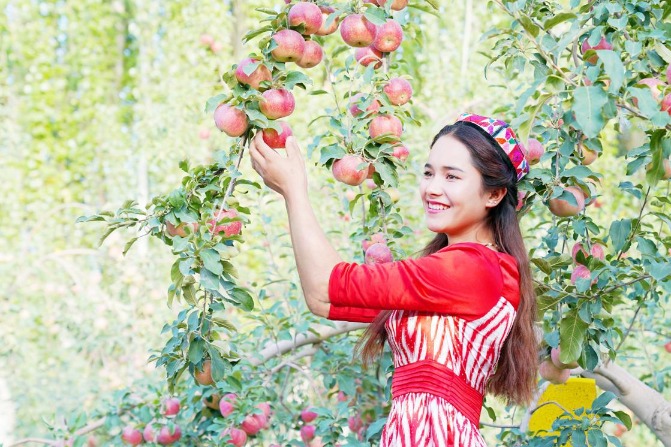 In Xinjiang, fruit drives prosperity