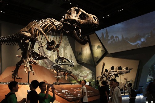 Top 10 natural history museums you can’t miss in China