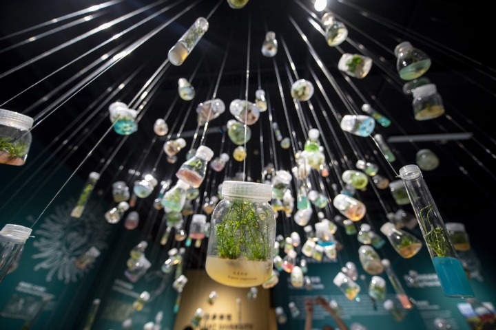 China's first seeds museum shows charm of biodiversity