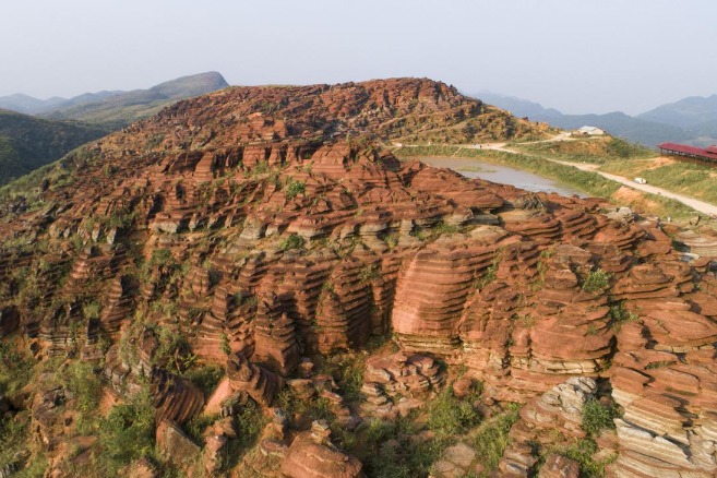 500 million-year-old red stone forest to glow with vibrant life