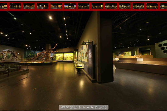 Virtual tour of Tianjing Natural History Museum