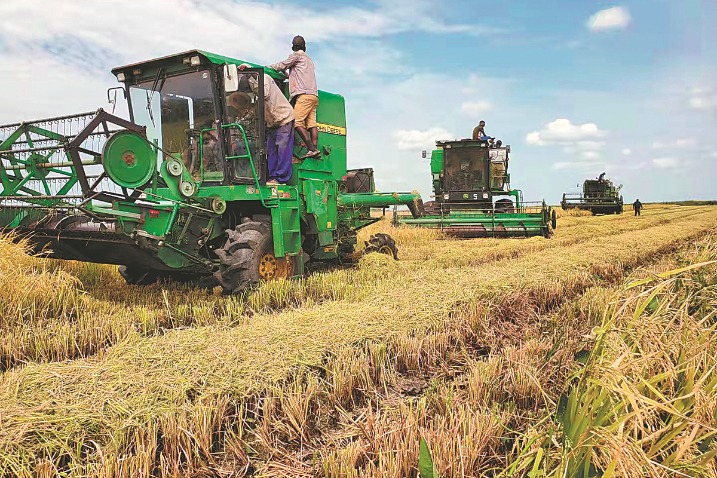 China agricultural service firms eye overseas market