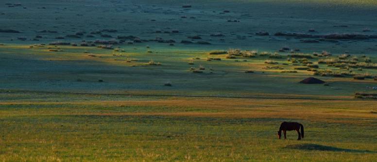 Xilamuren Grasslands